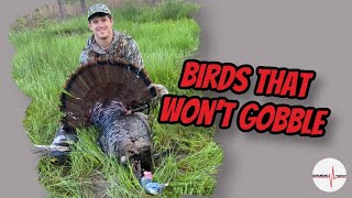 Arkansas Turkey hunt || Hunting non gobbling turkeys