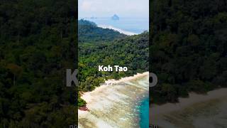 Koh Tao Travel Guide 2026: A Diver's Paradise! 🏝️🤿🦈 #thailand #gulfofthailand #travel
