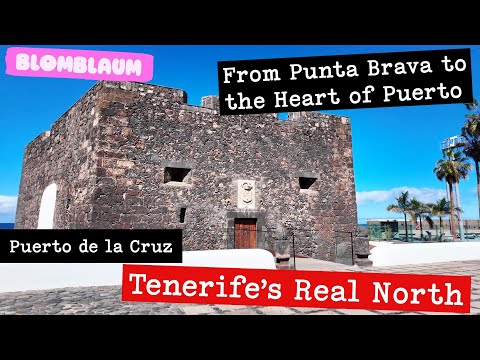 Puerto de la Cruz Walk 4K | From Punta Brava to Playa Jardín & Old Town | Authentic Tenerife Life