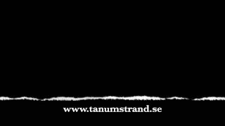 preview picture of video 'Tanumstrand julbord 2014 teaser'