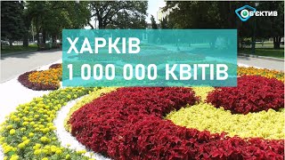 В Харькове высадили более миллиона цветов
