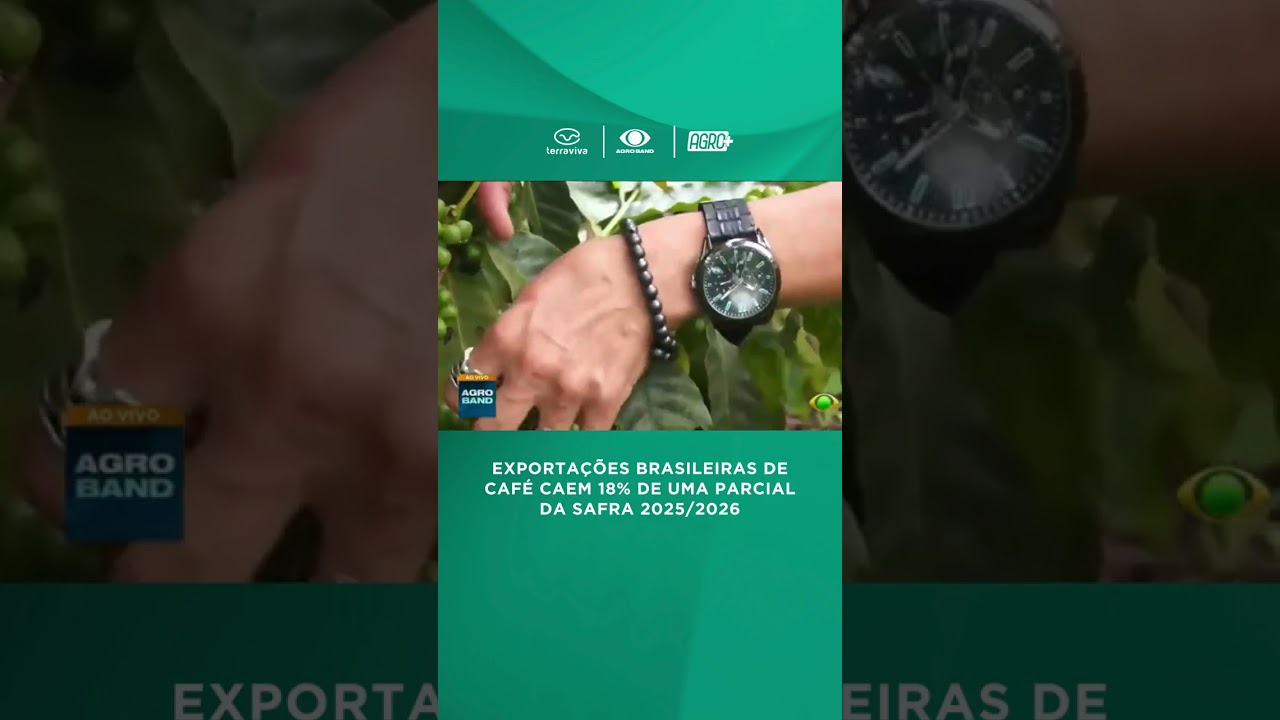 Exportações brasileiras de café caem 18%