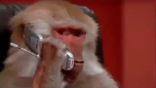 Download lagu Minang kocak monyet telponan mp3