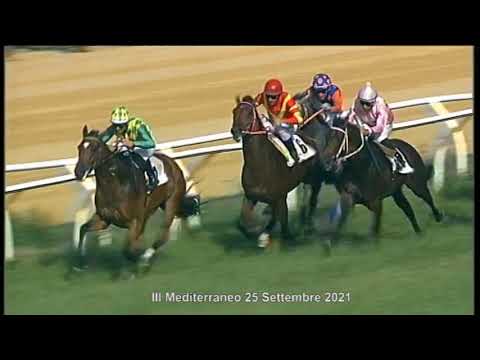 Corse cavalli di Galoppo del 25 Settembre 2021