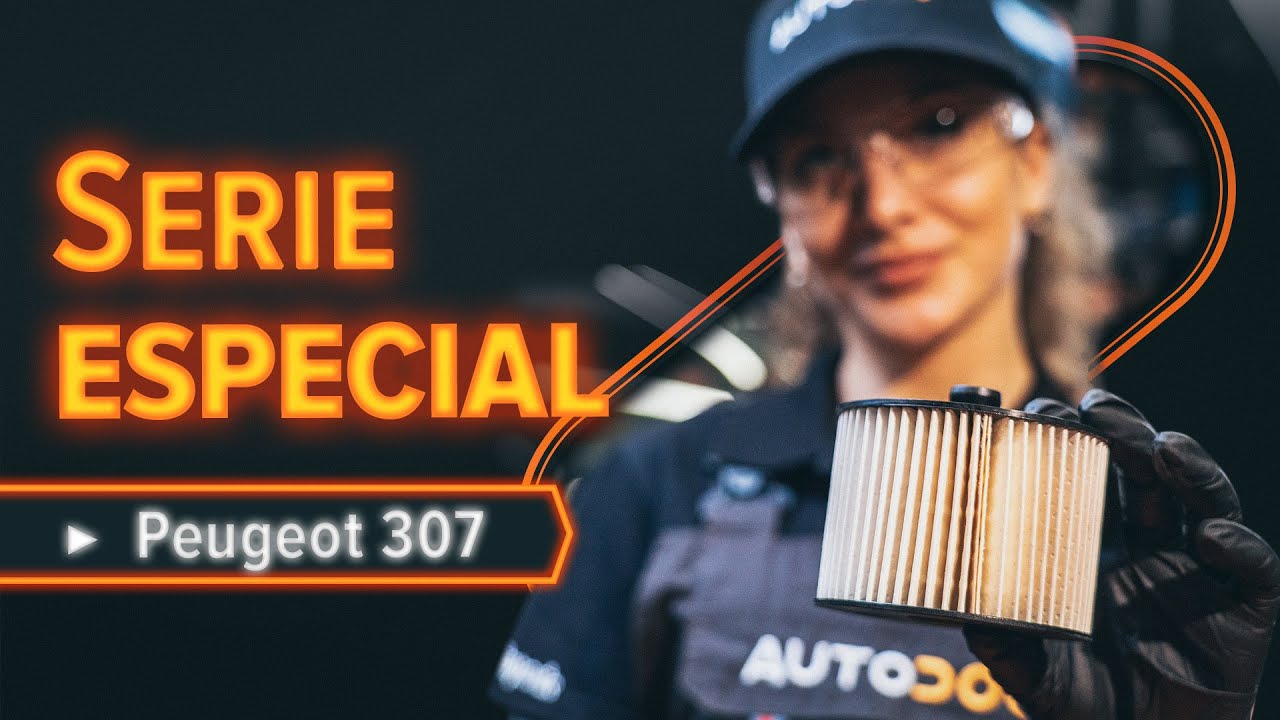 Cómo cambiar: filtro de combustible - Peugeot 307 SW | Guía de sustitución
