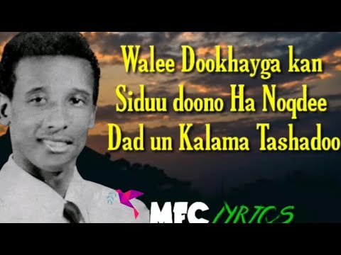 CABDI TAHLIIL HEESTII DOKHAYGA KAN) MFC LYRICS ] Qaaci Lyrics] Muqaal Qurux Badan