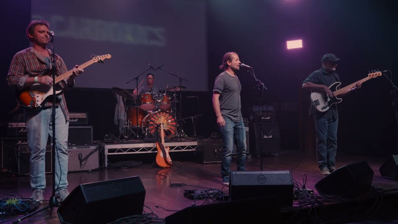 Promotional video thumbnail 1 for The Carbonics (indie rock band)