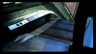 amaia montero CIRCULOS