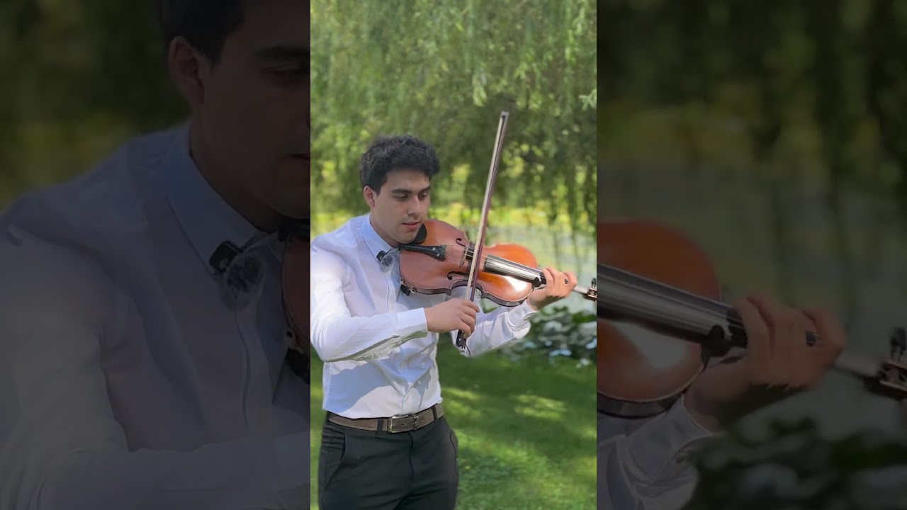 Promotional video thumbnail 2 for Martin Munoz - Violinist
