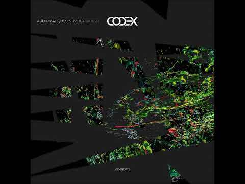 Audiomatiques, Stiv Hey - Gate 21 (Original Mix) [CODEX RECORDINGS]