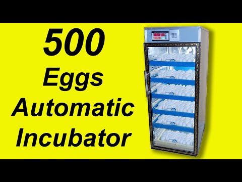 Amazing process of making 500 eggs automatic incubator