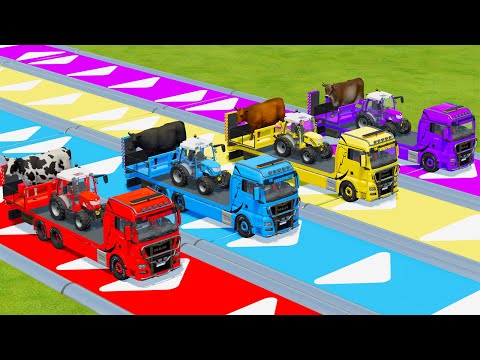TRANSPORTING COWS & MINI RIGI TRAC TRACTORS WITH IVECO & MAN TRUCKS - Farming Simulator 22