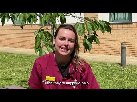 Senior Pharmacist: why the Royal Devon is a fantastic place to work