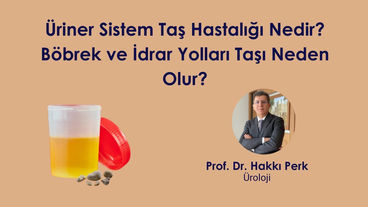 Üriner Sistem Taş Hastalığı Nedir? Böbrek ve İdrar yolları Taşları Neden Oluşur?