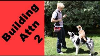 Building Attention-game 2- clicker dog training