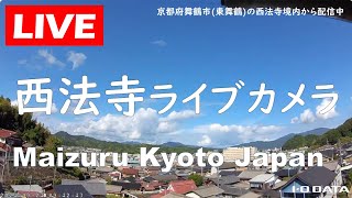 西法寺ライブカメラ（京都府舞鶴市） live webcam