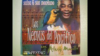 Los Nemus Del Pacifico ''Tempestad'' Con Alexis Murillo.