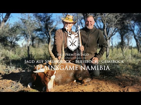 Plains game hunting for springbok, gemsbok, and blesbok in the Kalahari