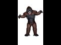 Oppusteligt Gorilla kostume video