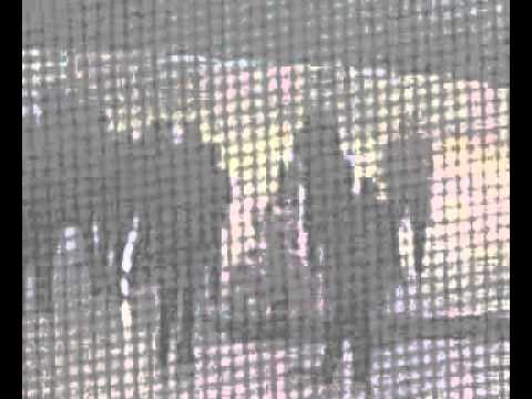 13.03.2011 Cracovia mistrzem Polski w hokeja