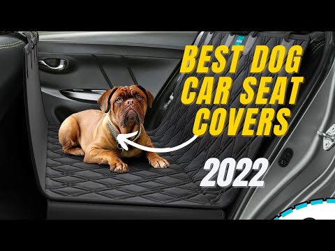 Top 4: Best Dog Car Seat Covers 2022 | Best Seat Covers For Pets