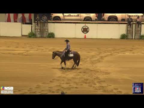 2021 Quarter Horse Congress Non Pro Lane Colston on Hollywood Cash An