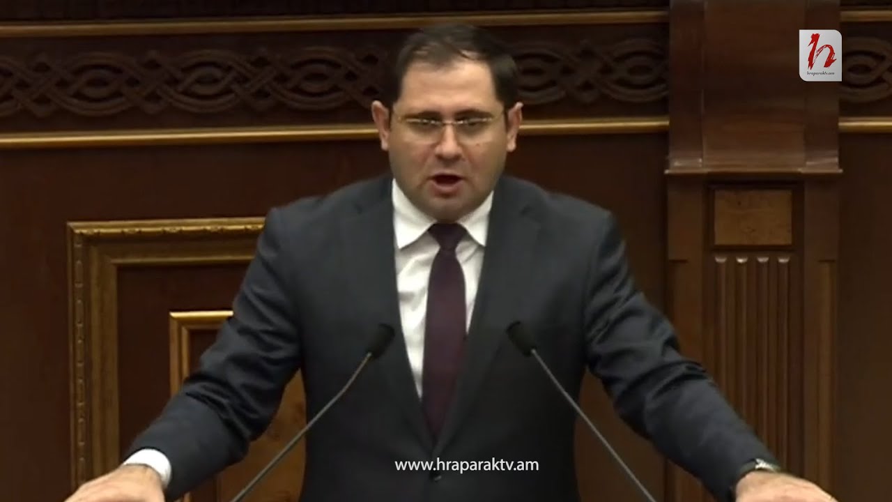 Քաղգործիչներ կան, որոնց երեխաները ծնվում են արտերկրում, որ բանակում չծառայեն․Պապիկյան