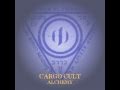 Cargo Cult - Mirrors ~ Electronica / Eastern Grooves