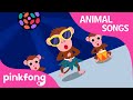Cheeky Monkey Animal Songs Monkey Song Pinkfong Songs For Children