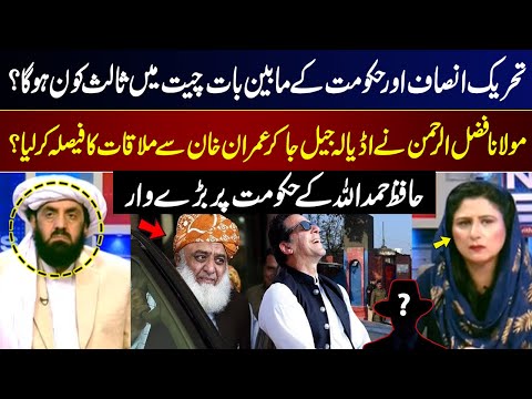 Maulana Fazlur Rehman Meeting with Imran Khan at Adiala Jail? | Hafiz Hamdullah Breaks Big News