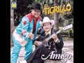 HIJO PRODIGO EL TIGRILLO PALMA