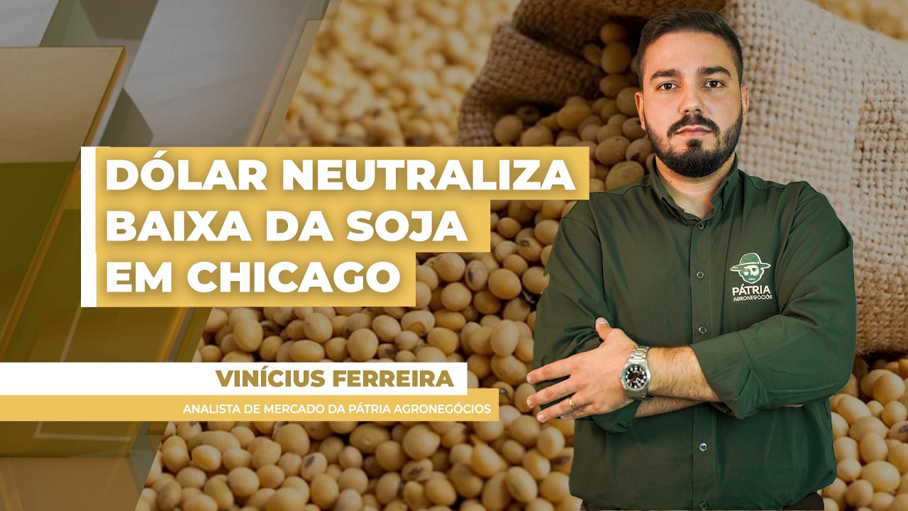 Soja fecha mais uma sessão em alta na Bolsa de Chicago com estímulo dos rumores de compras...