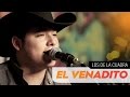 Los Cuadra -  El Venadito  [El poder de la música]