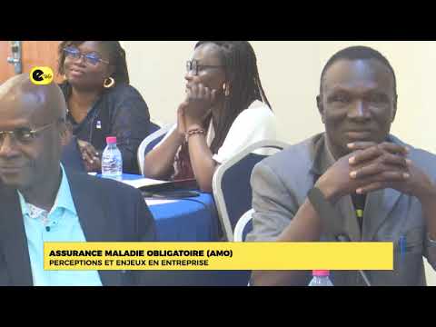Assurance Maladie Obligatoire (AMO) : Perceptions Et Enjeux En Entreprise