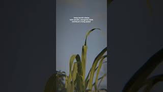 Download lagu story wa #shorts #viral #story #bismillah mp3