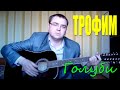 Трофим - Голуби (Docentoff. Вариант исполнения песни Трофима) 