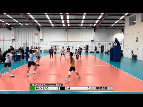 SEAGULLS Tournament 2025 - BAO BAO vs 3M | 7 June '25