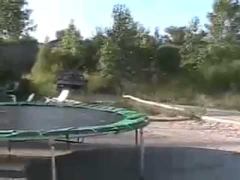 redneck tanning salon Davidsfarmison[bliptv]now