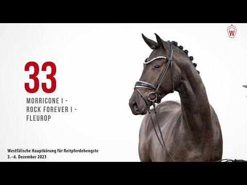 Hauptkörung 2023 Reitpferde Katnr.33  Morricone I - Rock Forever I - Fleurop