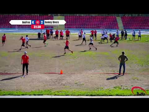 BeeFree vs Donkey Divers  - 1a Tappa  - Open Serie A 2023