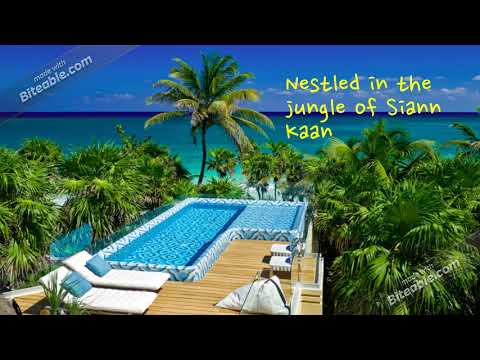 Videos del Beachfront House Sian Kaan 5★ en Tulum, MéxicoVer MásVerPrecios3CerrarConsulta por Whatsapp 🇦🇷BookingSkyscannerTrivago