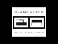 01. Blaqk Audio - Cold War