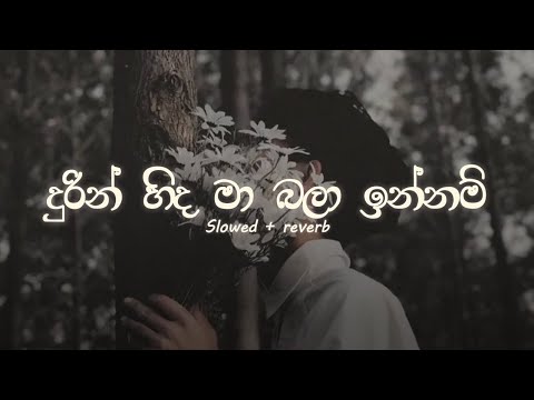 Durin Hinda Ma Bala Innam | දුරින් හිද මා බලා ඉන්නම් | Slowed and Reverb with Lyrics | #DASSAMUSIC