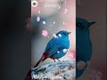 Bless The Lord O My Soul Whatsapp Status Christian Songs Merlyn Creation Shorts