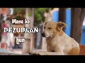 Mana Ke Bezubaan Hun Bezubaa Music Song