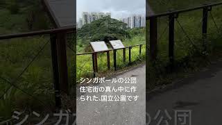 【発見！】ビダダリ国立公園