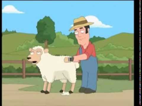 Sheep Shearing - Fuck Yeah !