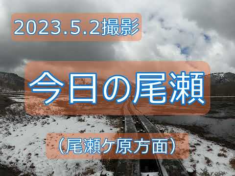 2023.05.02　今日の尾瀬（鳩待峠～牛首付近）