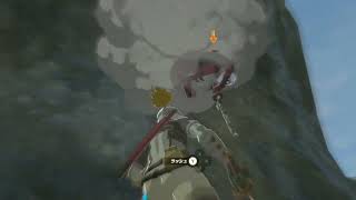 イーガ団戦 めも