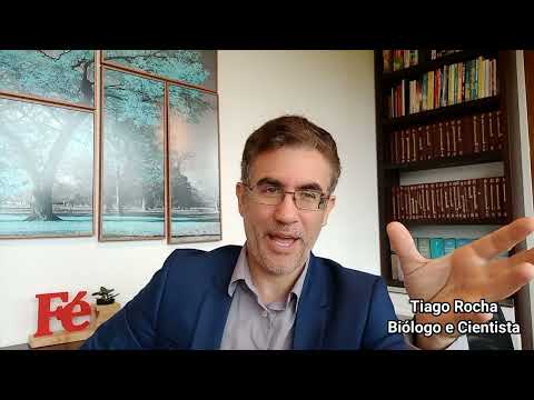 Cura do banho de SOL. (Tiago Rocha).